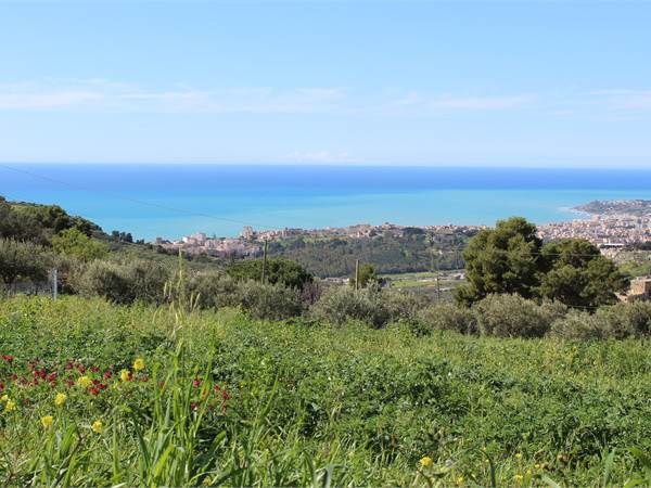 Terreno Agricolo in vendita a 